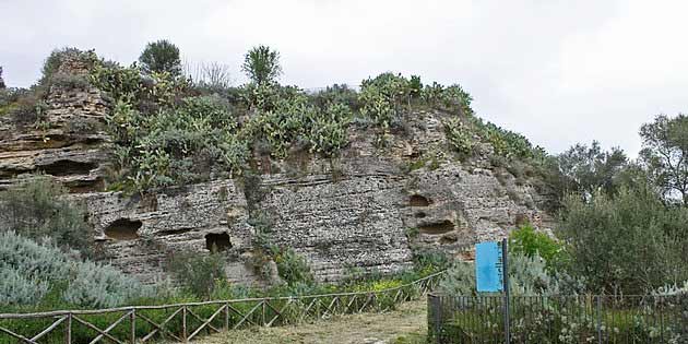 Archaeological Area of ​​Castellaccio