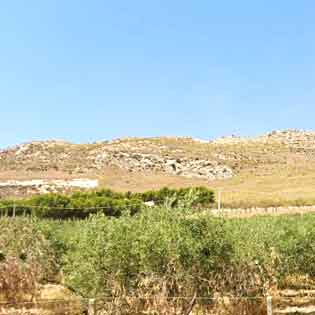 Desusino Mount Archaeological Area in Butera
