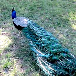 Biopark of Sicily in Carini