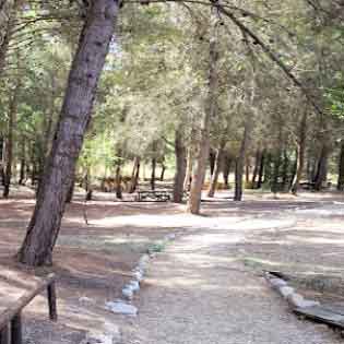 Finestrelle Wood in Santa Ninfa