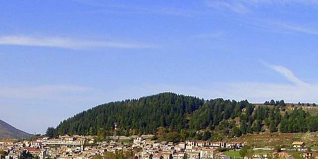 Floresta Forest