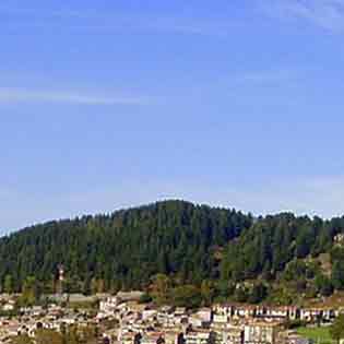 Bosco di Floresta