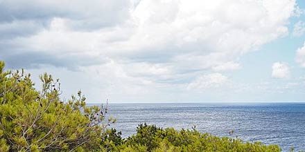 Cala San Paolo in Ustica