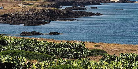 Corruggio in Ustica