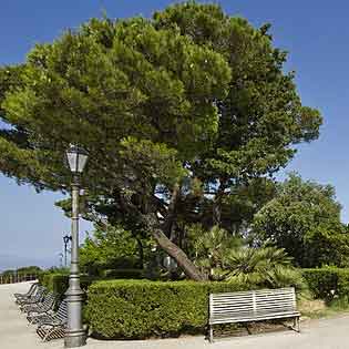 Balio Garden in Erice