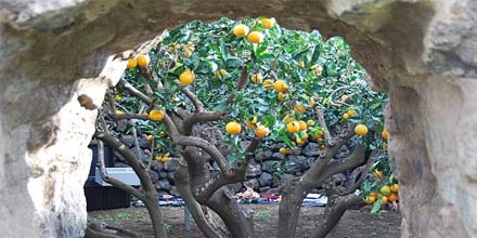 Giardino Pantesco di Donnafugata