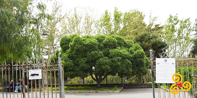 Garden of Victory in Adrano