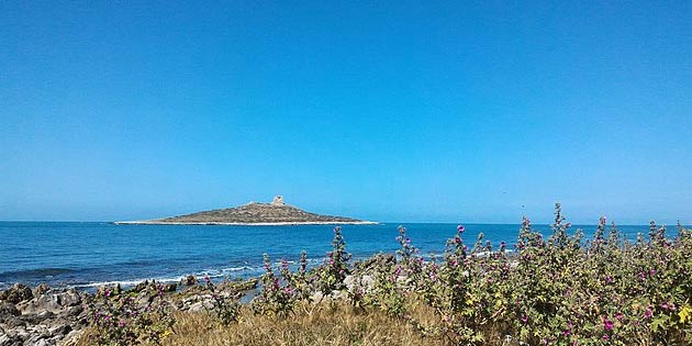 Isle of Females