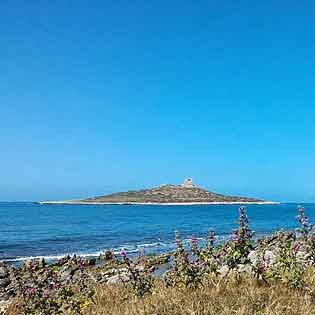 Isola delle Femmine