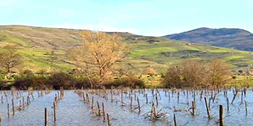 Gurrida Lake