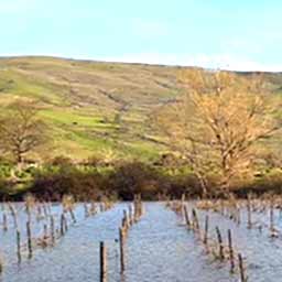 Lago Gurrida