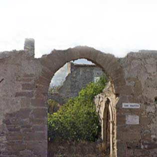 Fattoria - Monastero di San Martino a Milena