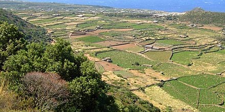 Grande Mountain in Pantelleria