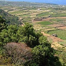 Grande Mountain in Pantelleria