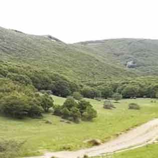 Monte e Piano dei Cervi delle Madonie