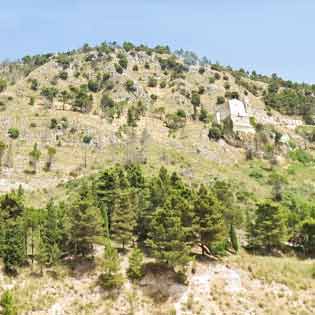 Triona Mount