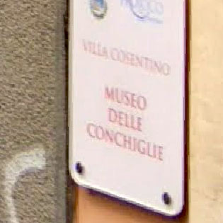 Museo delle conchiglie a Valverde