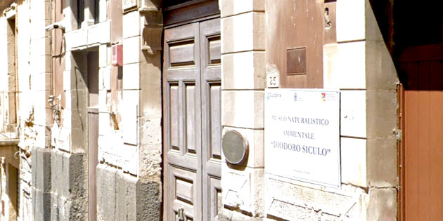 Diodoro Siculo Naturalistic Museum in Agira