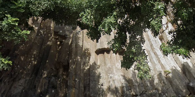 Neck a Motta Sant'Anastasia