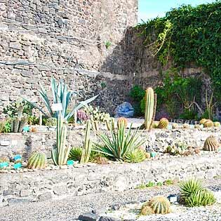 Botanical Garden in Aci Castello