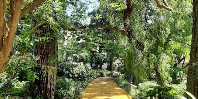 Botanical Garden in Messina