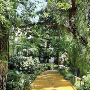 Botanical Garden in Messina