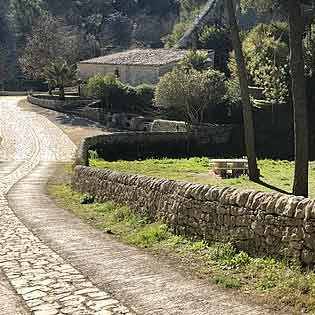 Parco Forestale Calaforno