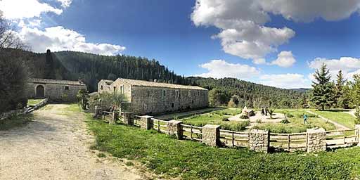 Canalazzo Forest Park