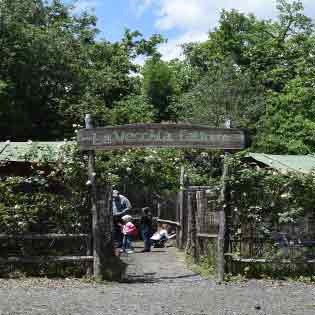 Monte Serra park in Viagrande