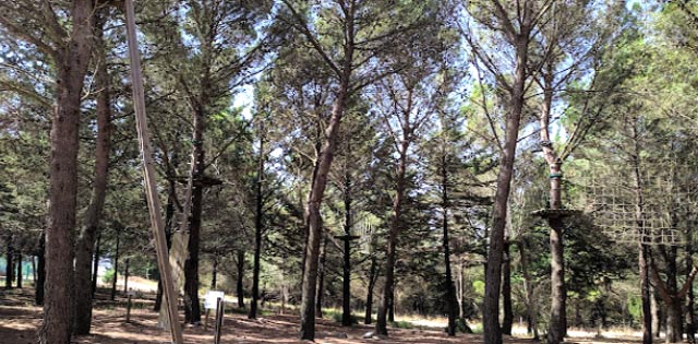 Naturavventura Finestrelle Park
