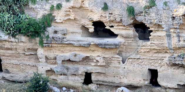 Parco Suburbano Grotta del Drago - Torrente Cava a Scordia