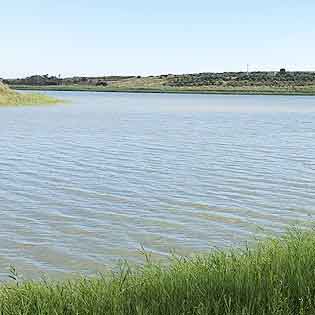 Riserva Biviere di Gela