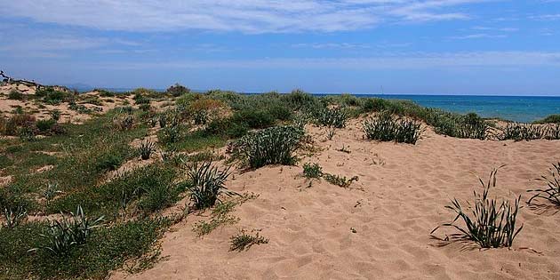 Riserva della Foce del Fiume Belice