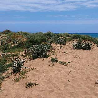 Riserva della Foce del Fiume Belice