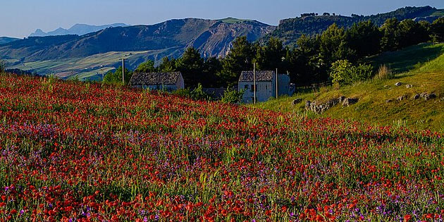 Monte Cammarata Nature Reserve