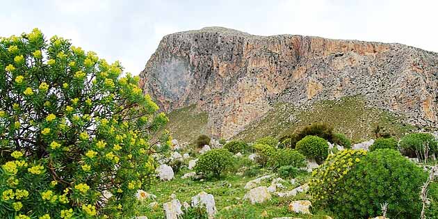 Cofano Mount Nature Reserve