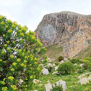 Cofano Mount Nature Reserve