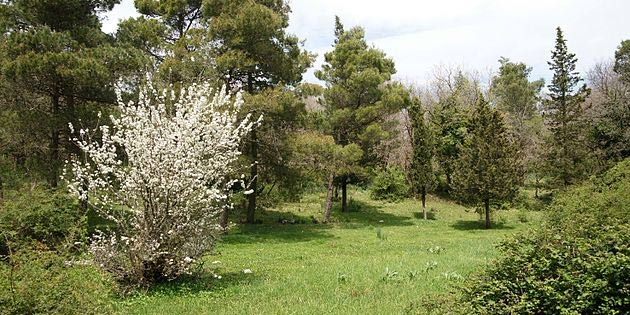 Riserva Monte Genuardo