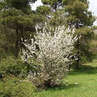 Riserva Monte Genuardo