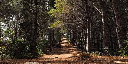 Ustica Island Nature Reserve