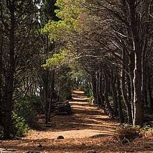 Ustica Island Nature Reserve