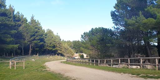 Riserva Naturale Orientata Monte Carcaci