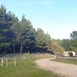 Mount Carcaci Nature Reserve