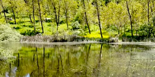 Sambuchetti-Campanito Oriented Nature Reserve