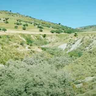 Vallone Natural Reserve of Piano della Corte in Agira
