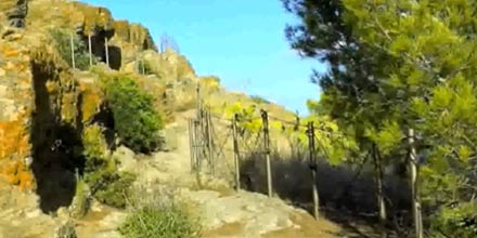 Rocca della Falconiera in Ustica