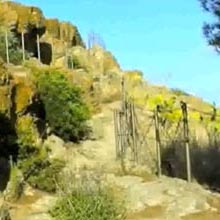 Rocca della Falconiera in Ustica