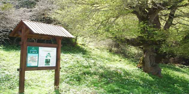 Sentiero Monumenti della Natura di Pomieri