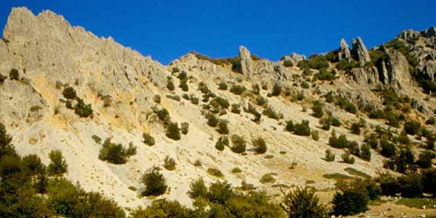 Serre della Quacella nel Parco delle Madonie