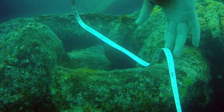 Underwater Archeology Sites in Ustica